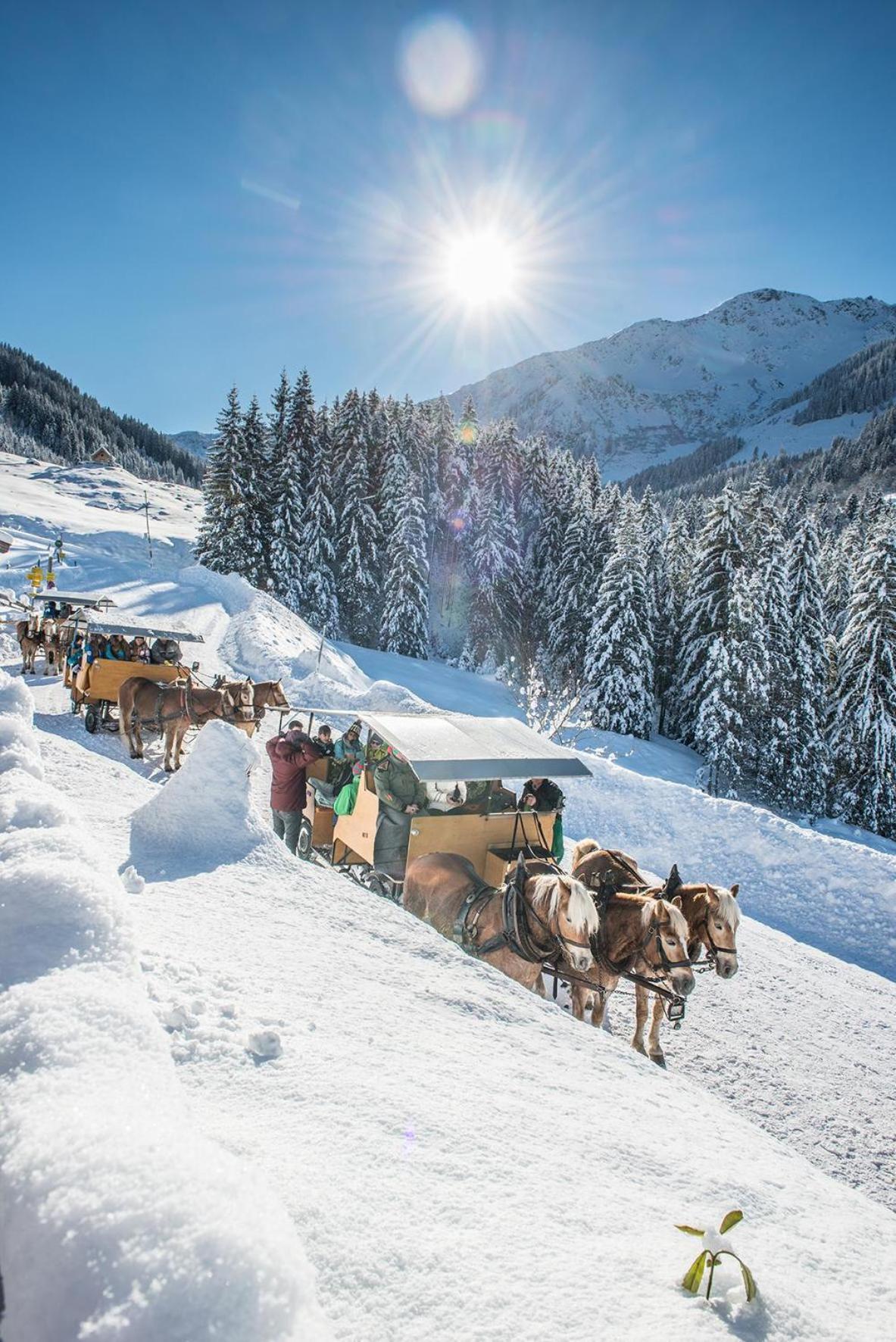 Hotel Auffacherhof Wildschönau Kültér fotó